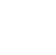 Link to github